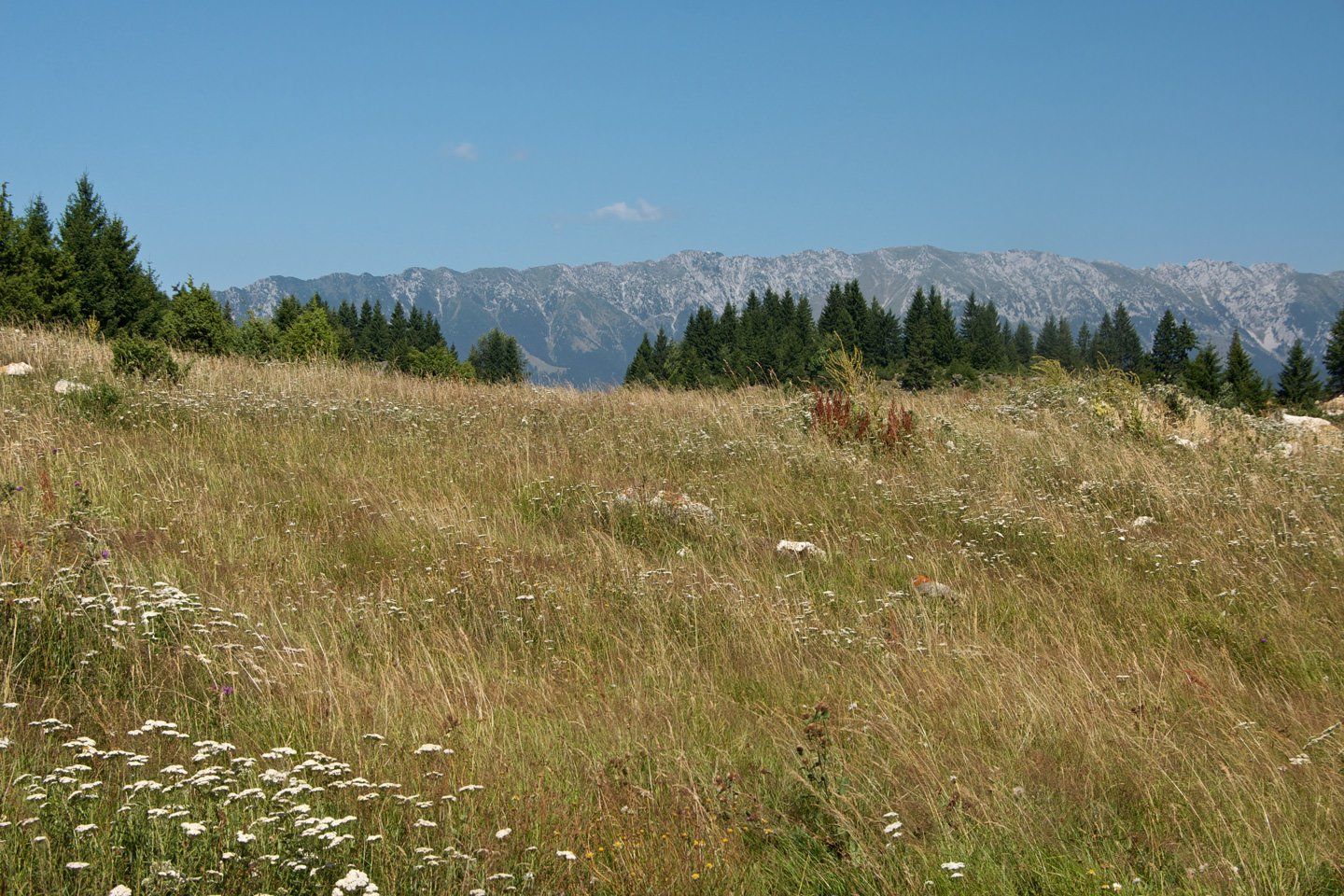photo of Piatra Craiului Mountains in the Romanian Carpathians